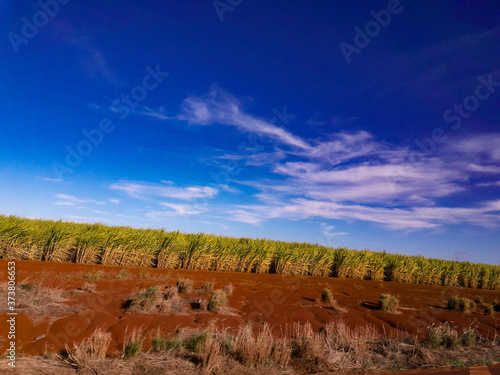 desert landscape in arizona