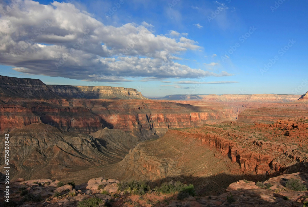 View of Surprise Valley from edge of Esplanade in Grand Canyon National Park, Arizona on summer morning. View of Surprise Valley from edge of Esplanade in Grand Canyon National Park, Arizona on summer morning.