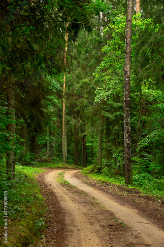 Country side road in the forest summer time © Photo by ERIKS ROZE