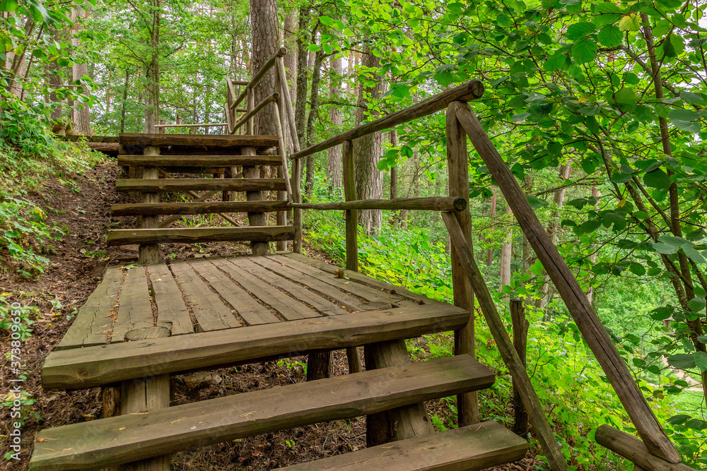 Wooden stairs and platform in the forest Wooden stairs and platform in the forest