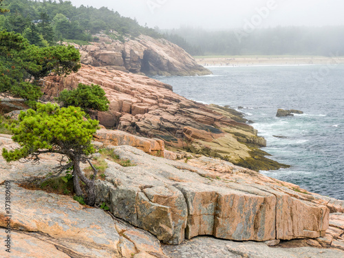 USA, Maine. Otter Cliffs and the Atlantic Ocean in Acadia National Park. photo