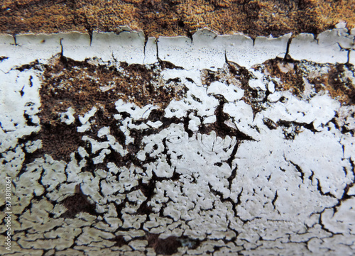 old cracked paint texture
