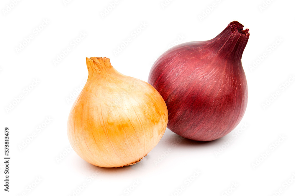Red and white onion heads on a white background Red and white onion heads on a white background