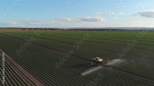Spraying the field. Potato processing photo