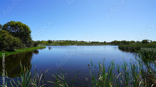 Lake and reeds in Western Australia