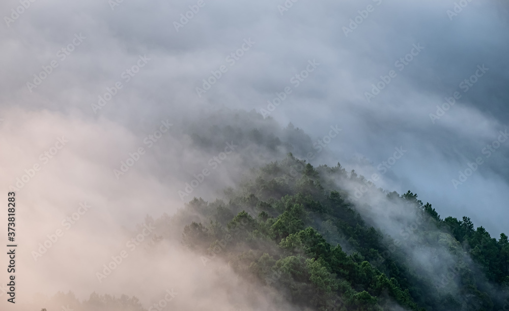 Morning mist covered mountains and trees Low light