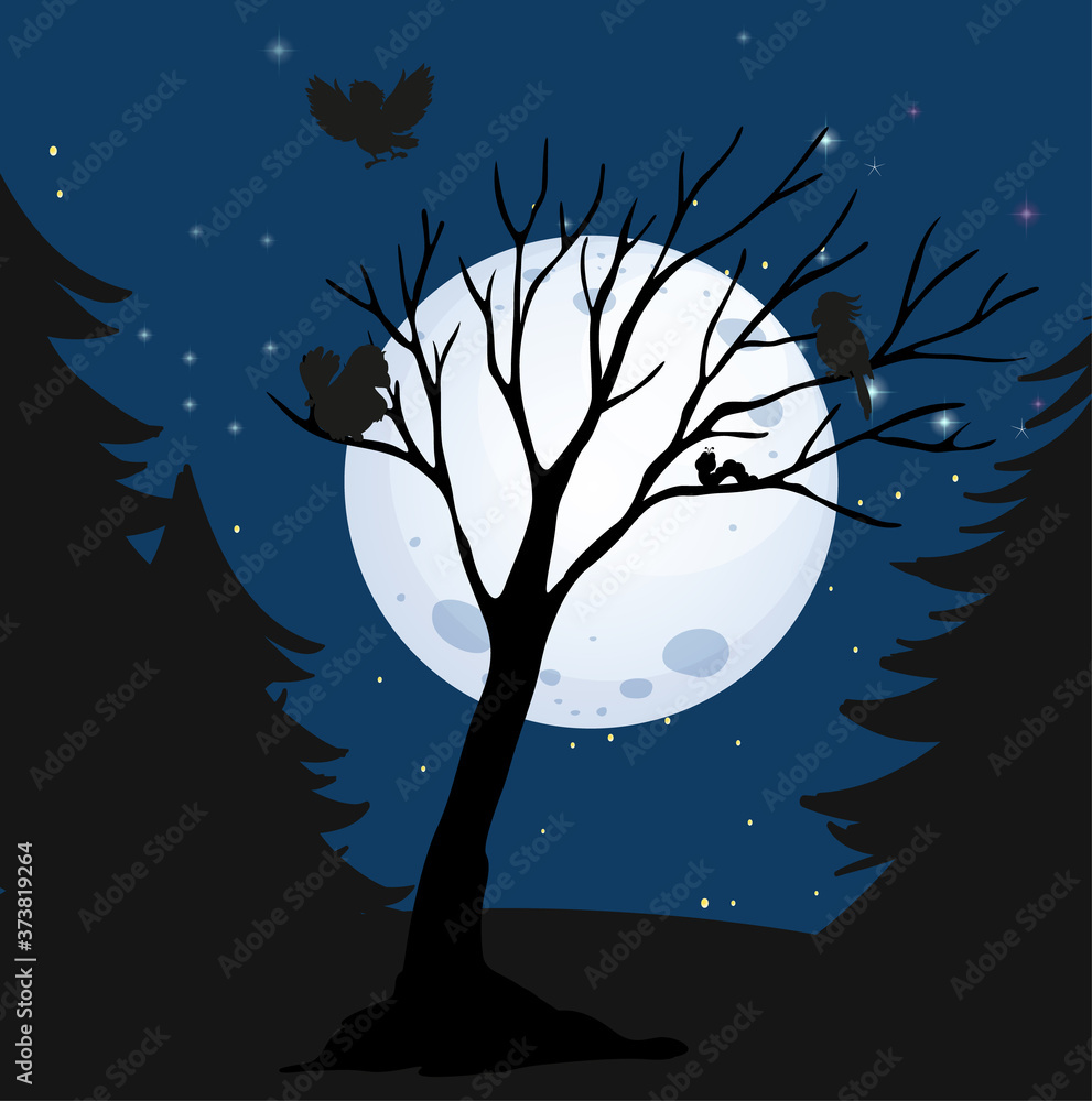 Night scene and shadow from the moon Night scene and shadow from the moon