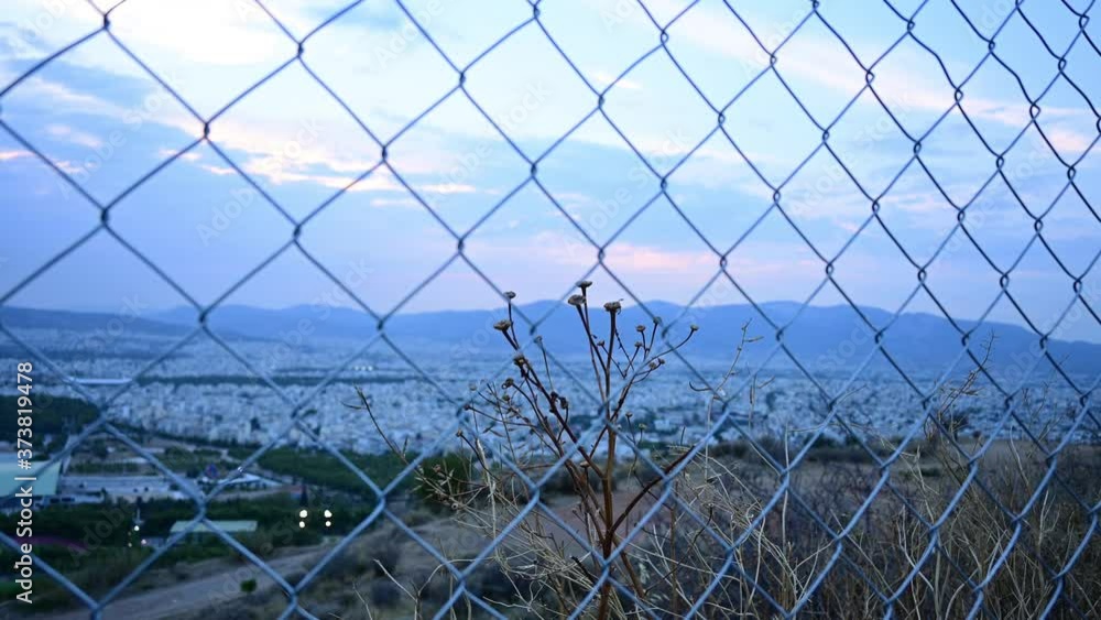 Dried plant behind a wire fence shakes in the wind at dusk. Dried plant behind a wire fence shakes in the wind at dusk.