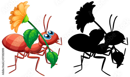 Ant holding flower set