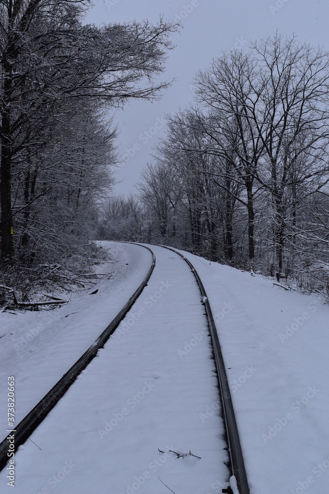 Snowy Tracks Snowy Tracks