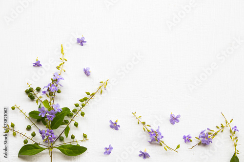little purple flowers and leaf arrangement flat lay postcard style on background white wooden © phenphayom
