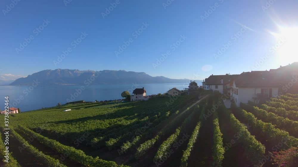 Viewpoint from the beautiful vineyards in Lavaux, Switzerland. Viewpoint from the beautiful vineyards in Lavaux, Switzerland.