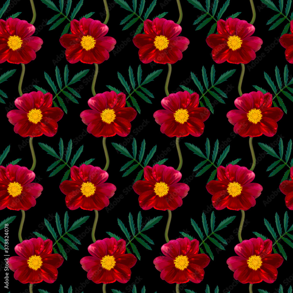 Seamless pattern with red Dahlia flowers and green leaves on black background. Endless floral texture. Raster colorful illustration.