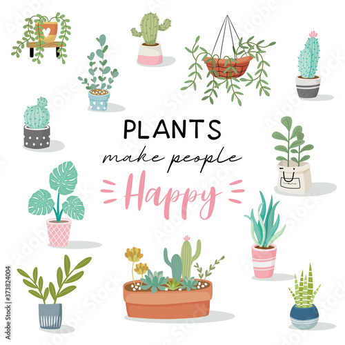 Cute home decor with plants, succulents and cactus.