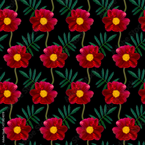 Seamless pattern with red Dahlia flowers and green leaves on black background. Endless floral texture. Raster colorful illustration.