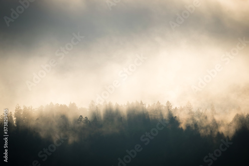 Wald und Berge mit Nebel Wolken im Sonnenuntergang - Abend im Karwendel