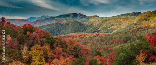 Multicolored fall panoramic landscape, Wasatch Mountains, near Park City and Midway, Utah, USA.