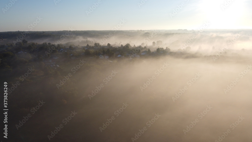 foggy morning over the forest. foggy morning over the forest.