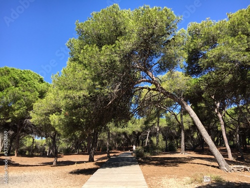 park in Rota , Andalucía in Spain