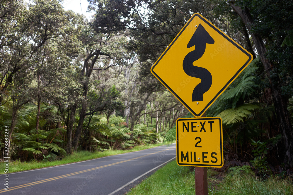Winding road sign in a natural parkland. The sign designates a section of curved road ahead.