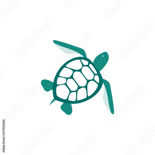 Sea turtle blue icon or symbol flat vector illustration isolated on white.