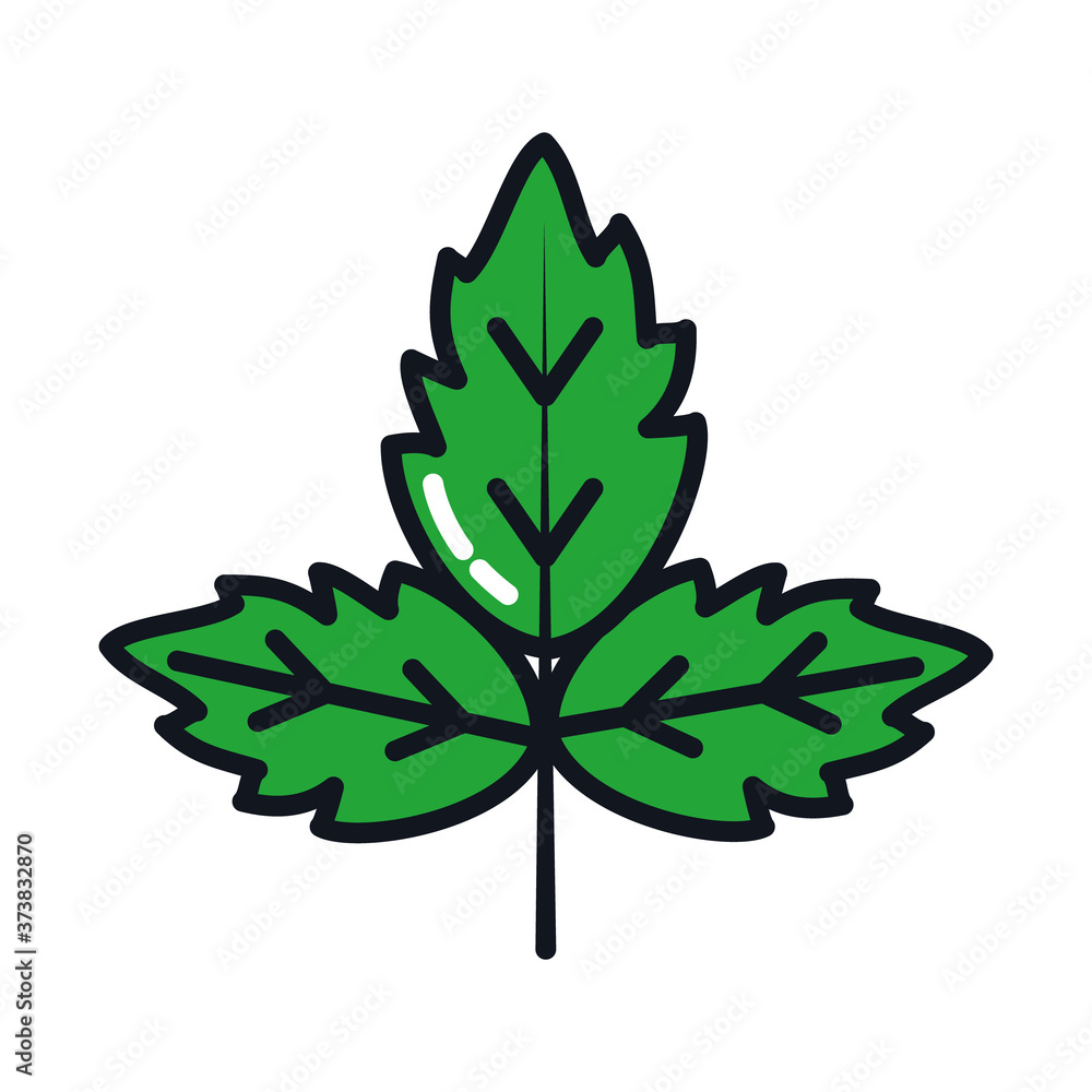 hop leaf icon, line and fill style hop leaf icon, line and fill style
