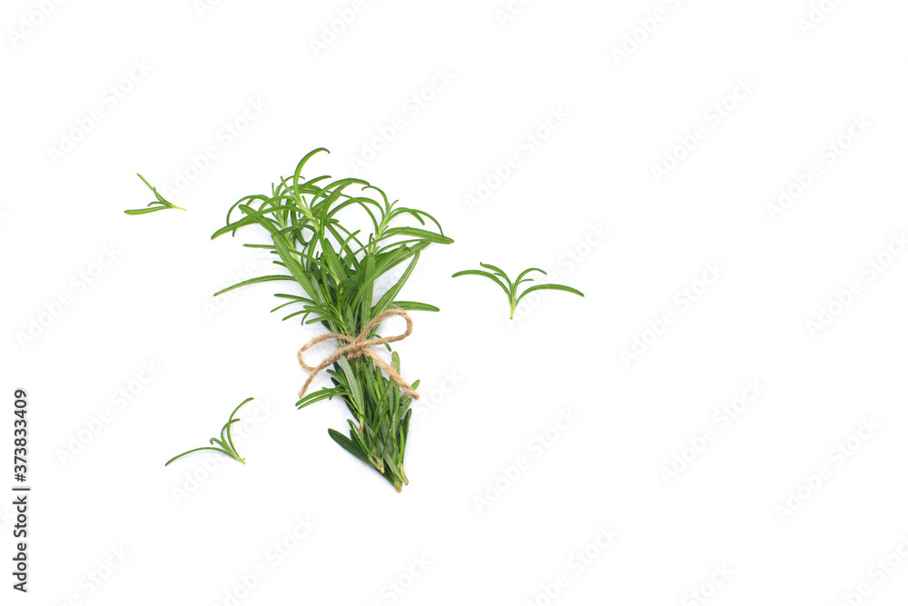 rosemary on white background rosemary on white background
