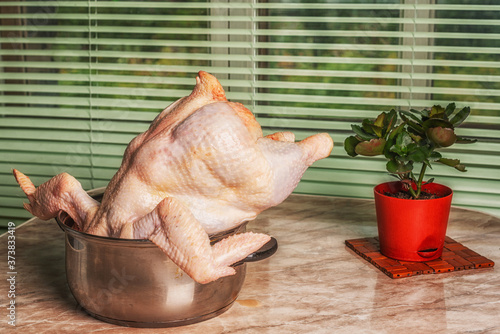 Carcass of a chicken of the huge sizes is on a kitchen table. A flower in a pot.