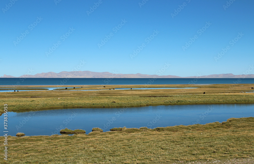 View of Namtso Lake with blue sky, Tanggula Mountains, grasslands, yaks and Nomadic tents in a sunny morning, Tibet, China