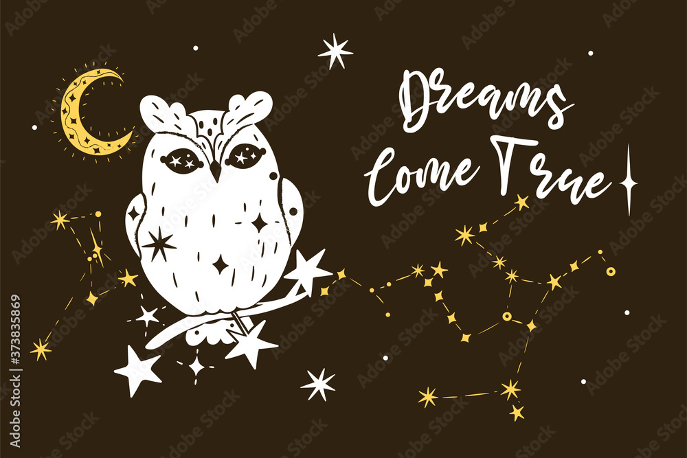 Poster with an owl, stars and the inscription Dreams Come True. Vector graphics.