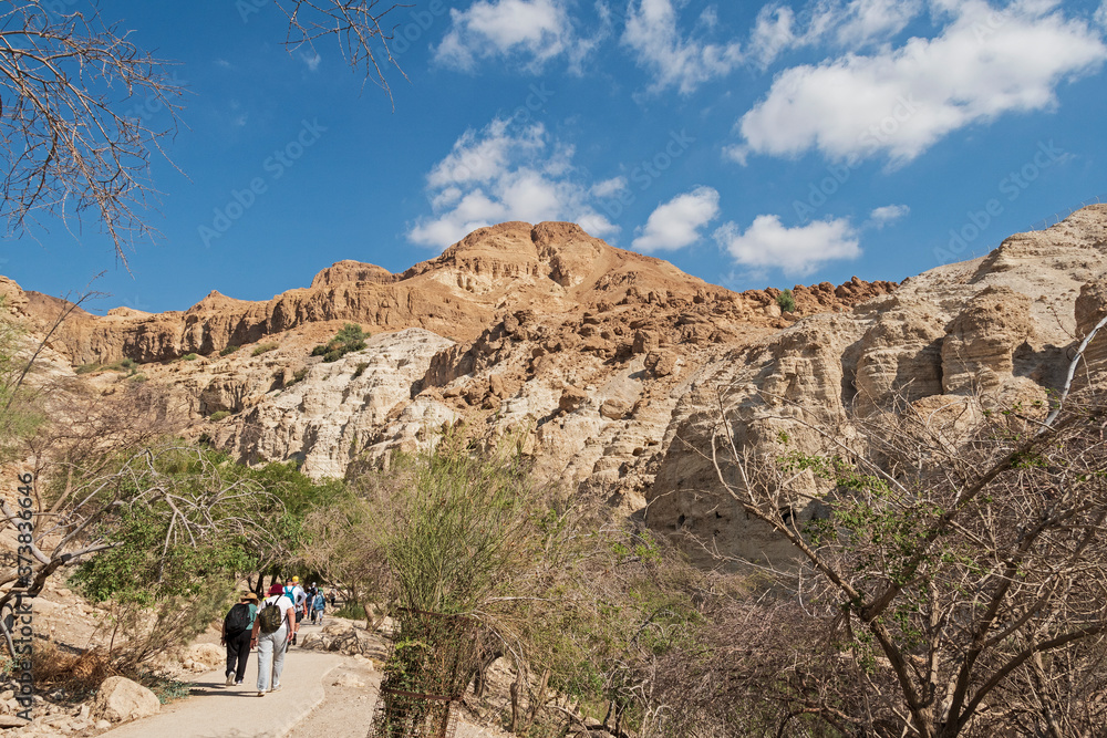 a group of visitors on the paved handicapped access path walking toward the david falls in the ein gedi reserve in israel with mt yishai in the background
