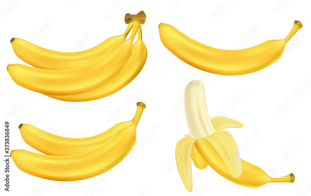 Realistic set of bananas isolated on white. Bunches of fresh yellow banana fruits. Tropical fruits vector illustration