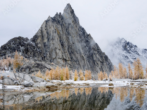 USA, Washington State. Alpine Lakes Wilderness, Enchantment Lakes, Prusik Peak, snow covered Larch trees reflected in Gnome Tarn
