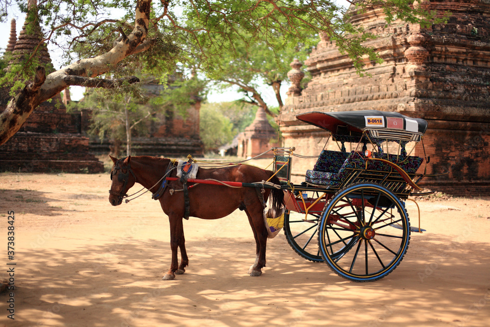 Horse carriage at Bagan, Myanmar