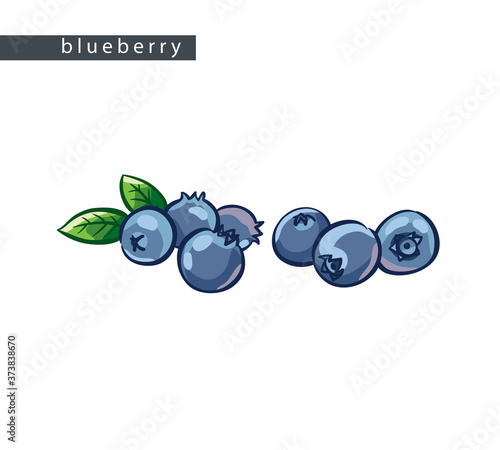 sketch_blueberry_seven_berries_two_leaves