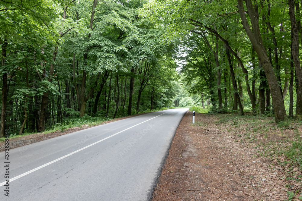 Road running through national park Fruska gora in Serbia Road running through national park Fruska gora in Serbia