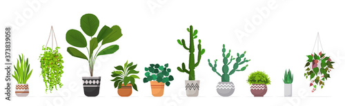 set decorative houseplants planted in ceramic pots different garden potted plants collection isolated horizontal vector illustration