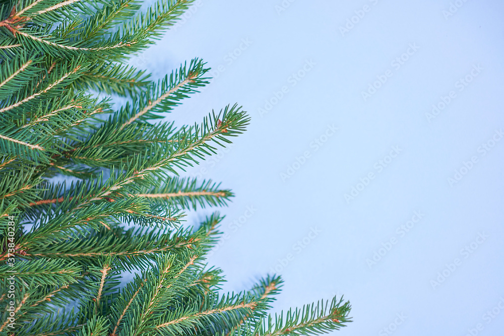 Christmas background with xmas tree on blue canvas background. Merry christmas card. Winter holiday theme. Happy New Year. Space for text. christmas backdrop top view. Flat lay. Christmas background with xmas tree on blue canvas background. Merry christmas card. Winter holiday theme. Happy New Year. Space for text. christmas backdrop top view. Flat lay.