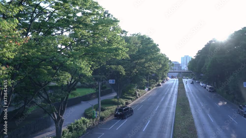 Shibuya Yoyogi Park Road