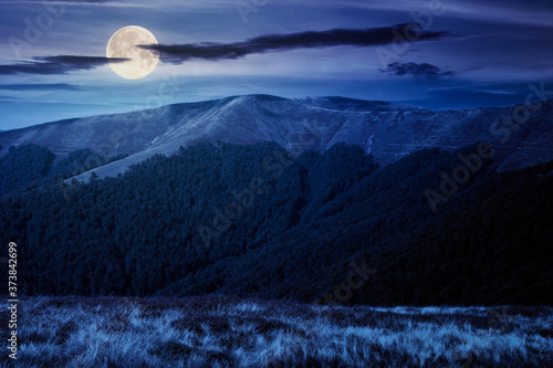 mountain landscape at night. trees on the meadow in dry grass in full moon light. ridge in the distance. beech forest on the hills. clouds on the sky © Pellinni