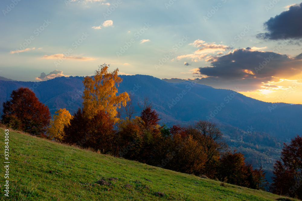 autumnal rural landscape at dusk. beautiful countryside in mountains. trees in fall foliage on green rolling hills. dramatic clouds above the distant ridge