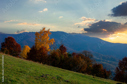 autumnal rural landscape at dusk. beautiful countryside in mountains. trees in fall foliage on green rolling hills. dramatic clouds above the distant ridge © Pellinni