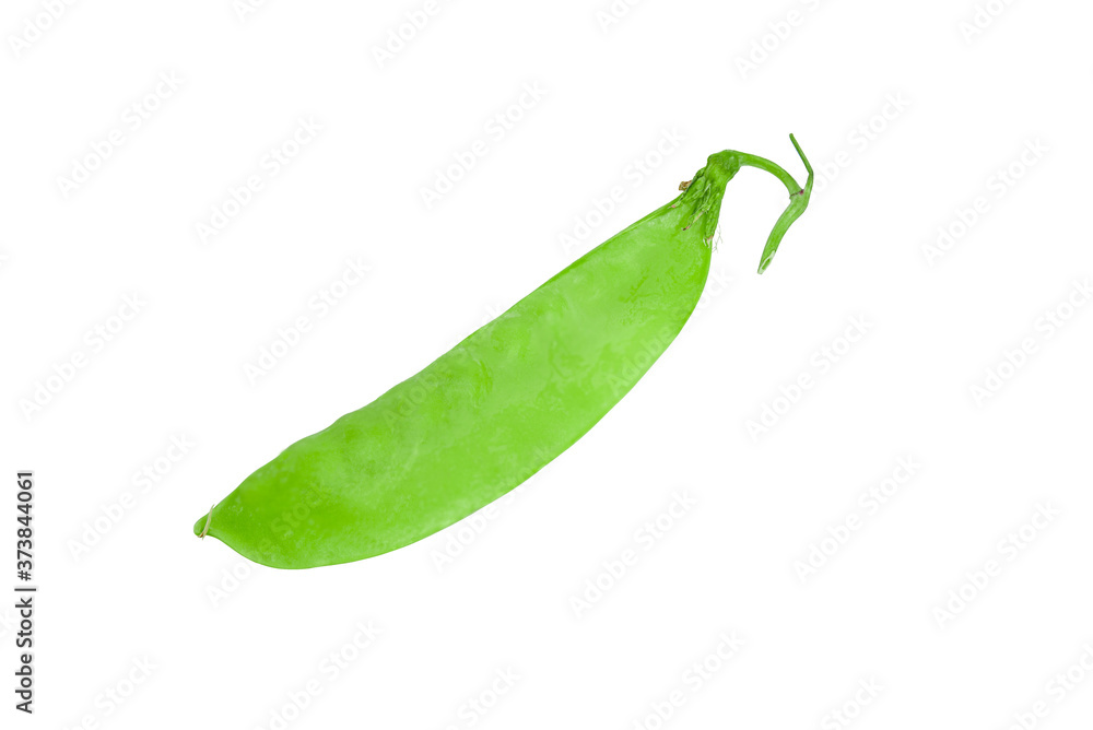 Sugar Pea was placed on a white background. Sugar Pea was placed on a white background.