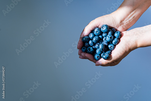 Blueberry berries in female hands are unevenly lit by the sun