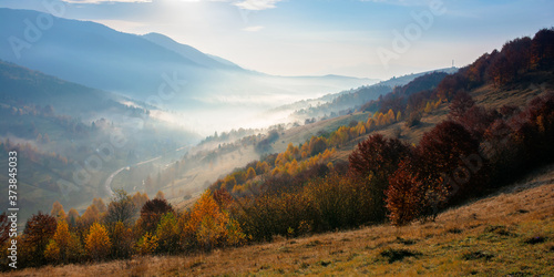 misty autumn morning in carpathian mountains. valley full of fog. sunny and hazy weather with clouds on the sky. beauty of rural area in highlands