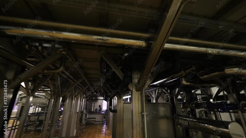 Interior of dairy plant. Workers at modern food factory Interior of dairy plant. Workers at modern food factory