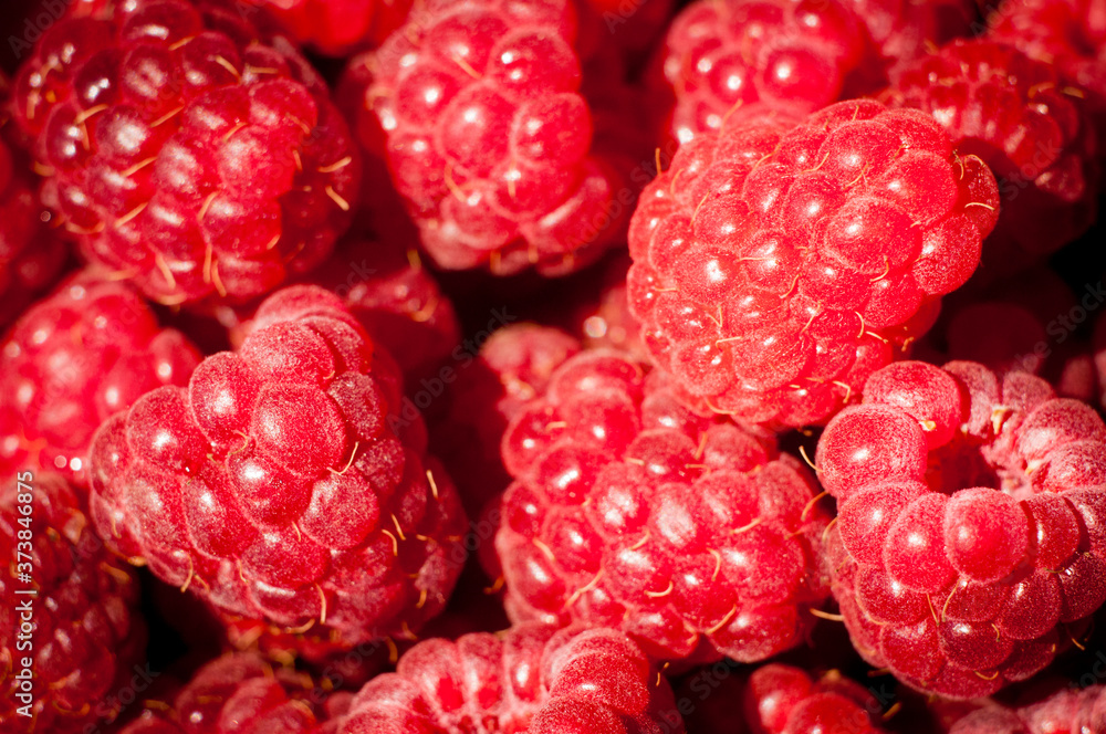 raspberry close up raspberry close up