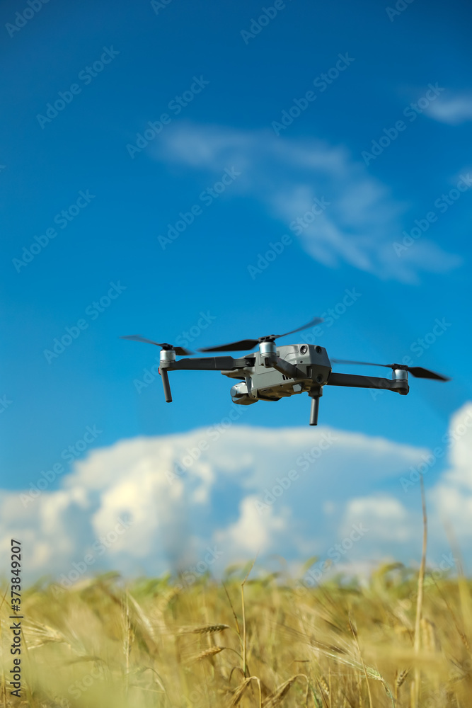 Modern drone flying over wheat grain field on sunny day. Agriculture industry Modern drone flying over wheat grain field on sunny day. Agriculture industry