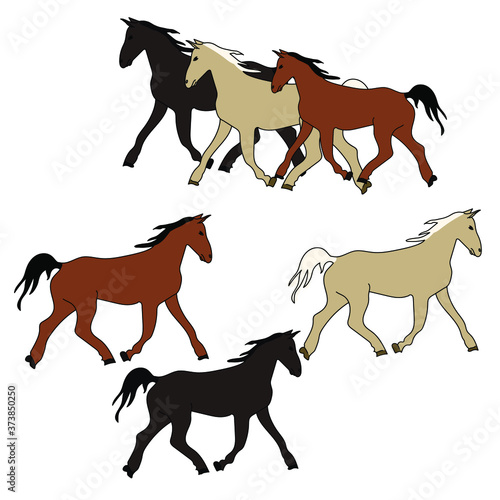 Set of horses of various colors running side by side and separately, a horse of dark and light color, strong animals vector illustration
