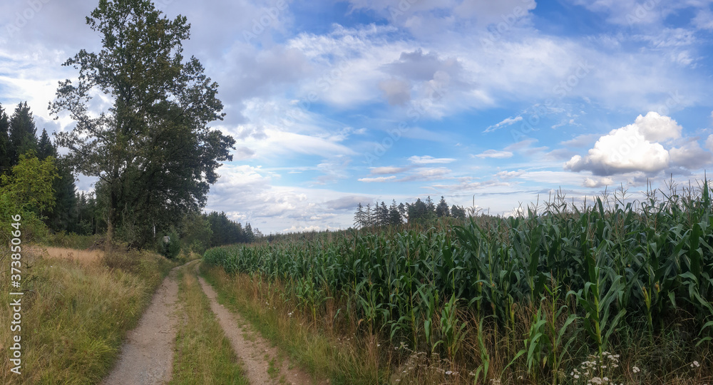 scenic panorama view of natural landscape under a cloudy sky